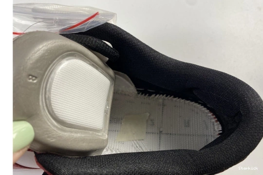 Chicago Nike BQ6817-600 Dunk SB Low J-Pack 1102